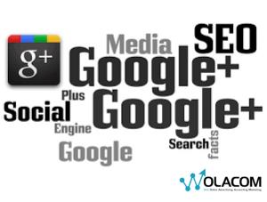 Author Rank, SEO dan Google Plus sangat Penting untuk Bisnis Anda